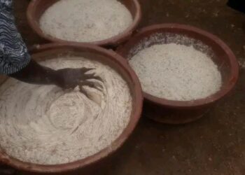 Kankan: l&rsquo; extraction du   beurre de Karité  très prisée par les femmes de Sanana