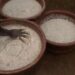 Kankan: l’ extraction du beurre de Karité très prisée par les femmes de Sanana