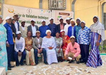 Santé: validation technique du plan Stratégique National du Programme National de Santé Oculaire PNSO