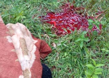 Kankan: un jeune de 27 ans poignardé par son grand frère de lait.