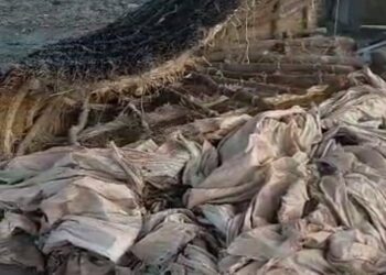 Mandiana : plus de 300 cases ravagés par une forte inondation à Koulibalydou Banakörö.