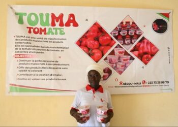 Portrait Mali : Fatoumata Keïta transforme la tomate en produits dérivés
