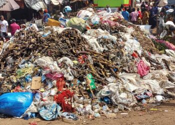 Insalubrité: Lorsque Conakry renoue avec les ordures