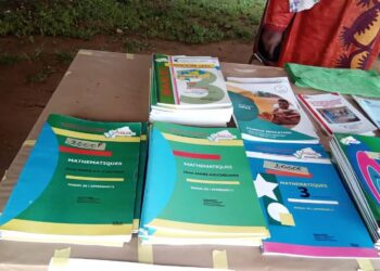 Culture Burkina Faso : Guides orthographiques de 15 langues locales