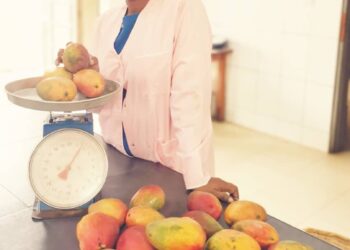 Portrait Togo : Adissa Atsu lutte contre la malnutrition infantile