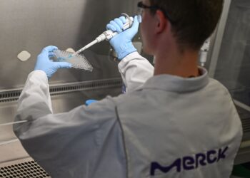 Santé : La fondation Merck appuie la formation de médecins africains