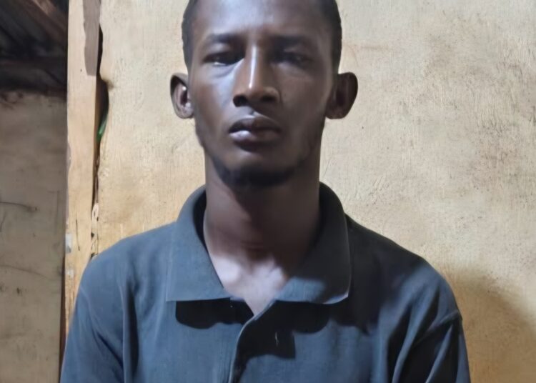 Homicide d&rsquo;un adolescent de 13 ans par son frère à Kourémalé : enquête en cours