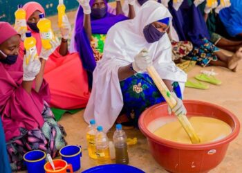 Cohésion sociale Niger : autonomisation socio-économique de femmes déplacées