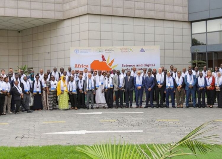 Sécurité alimentaire : La FAO lance la 3e phase de son programme phytosanitaire en Afrique