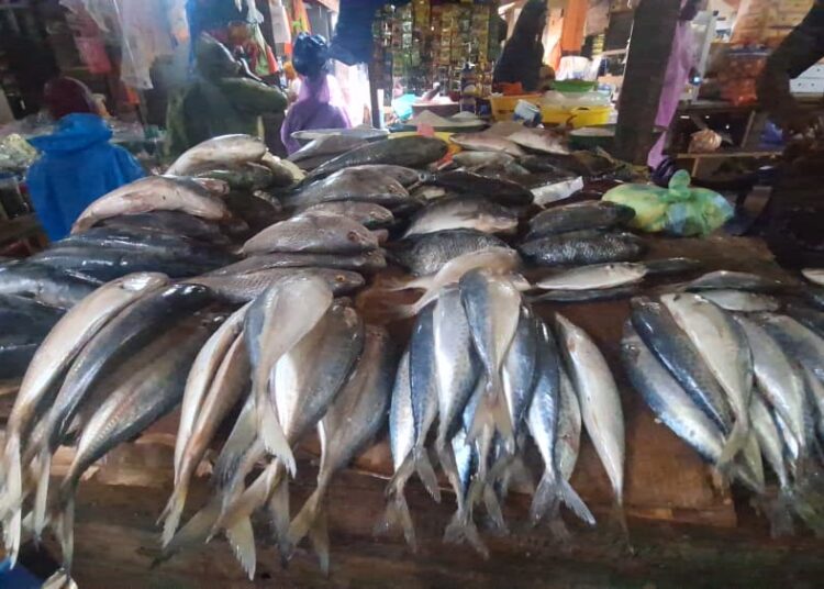 Flambée du prix du poisson à Conakry : les vendeuses alertent, les ménages trinquent.