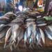 Flambée du prix du poisson à Conakry : les vendeuses alertent, les ménages trinquent.