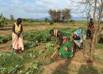 Changement climatique Touaregs : le modèle de résilience climatique face à la sécheresse