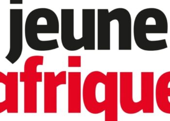 Média: la HAC retire l’accréditation de Mamadou Diawo Barry