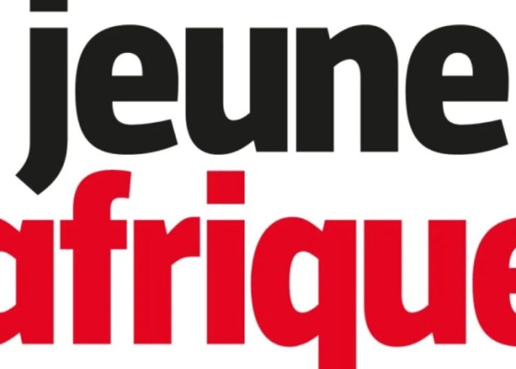 Média: la HAC retire l’accréditation de Mamadou Diawo Barry