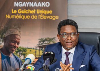 Digitalisation de l’élevage : Ngaynaako facilite l’accès aux services et aux informations.